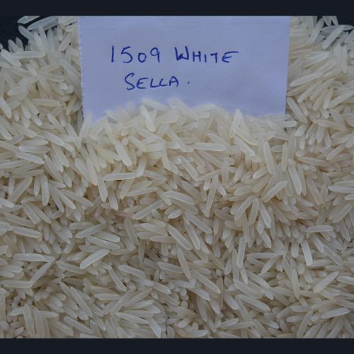 1509 Creamy Sella Basmati Rice