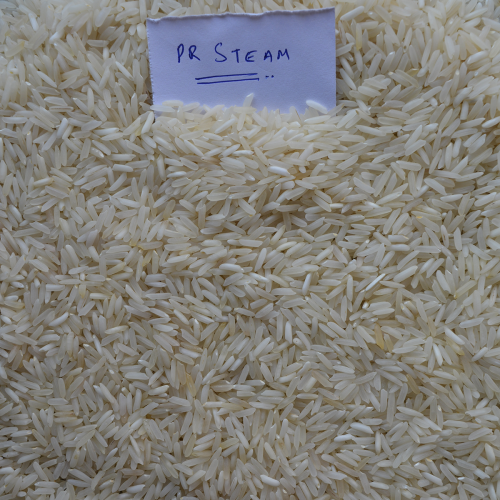 PR11 Steam Rice