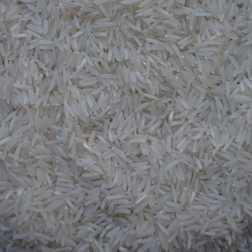 PUSA Raw Basmati Rice