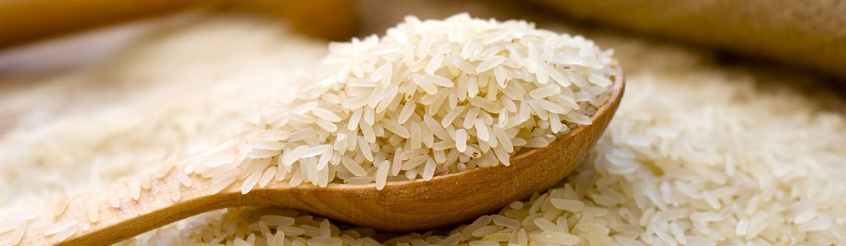 rice-inner-banner-img